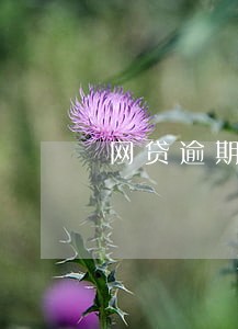 网贷逾期没人打电话 网贷逾期没人打电话