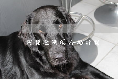 网贷逾期没人起诉我 网贷逾期没人起诉我