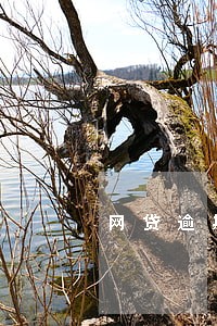 网贷逾期没催还 网贷逾期没催还