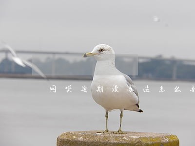 网贷逾期没办法怎么办 网贷逾期没办法怎么办
