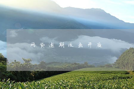 网贷逾期没去开庭 网贷逾期没去开庭