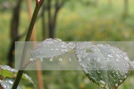 网贷逾期没去开庭怎么办 网贷逾期没去开庭怎么办