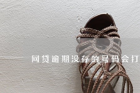 网贷逾期没存的号码会打吗