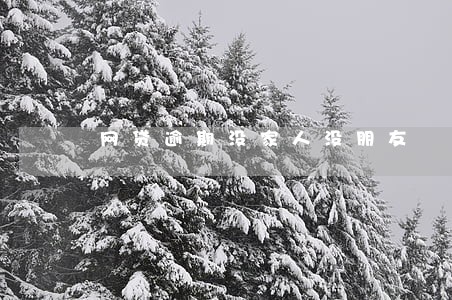 网贷逾期没家人没朋友