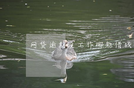 网贷逾期没工作哪能借钱 网贷逾期没工作哪能借钱