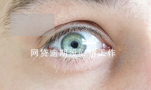 网贷逾期没心情工作 网贷逾期没心情工作