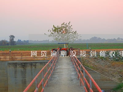 网贷逾期没接到催收电话 网贷逾期没接到催收电话