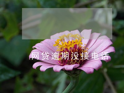 网贷逾期没接电话 网贷逾期没接电话