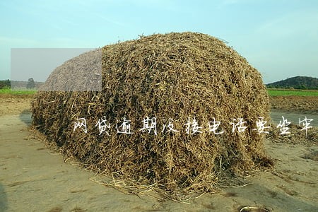 网贷逾期没接电话要坐牢吗 网贷逾期没接电话要坐牢吗