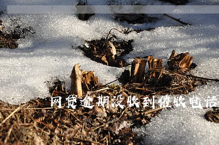 网贷逾期没收到催收电话 网贷逾期没收到催收电话