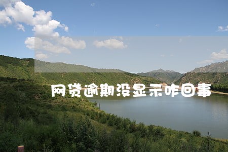 网贷逾期没显示咋回事