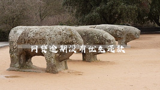 网贷逾期没有优先还款 网贷逾期没有优先还款