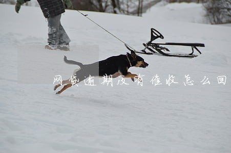 网贷逾期没有催收怎么回事儿 网贷逾期没有催收怎么回事儿