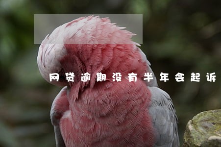 网贷逾期没有半年会起诉吗 网贷逾期没有半年会起诉吗