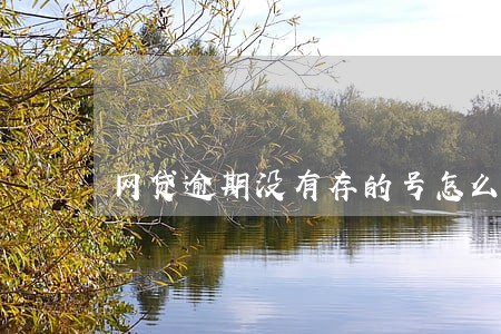 网贷逾期没有存的号怎么也打 网贷逾期没有存的号怎么也打