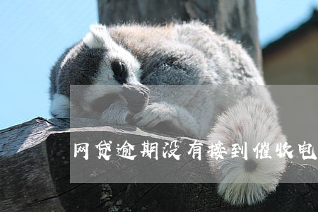 网贷逾期没有接到催收电话 网贷逾期没有接到催收电话