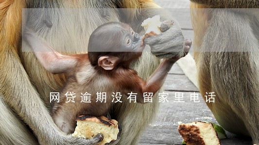 网贷逾期没有留家里电话 网贷逾期没有留家里电话