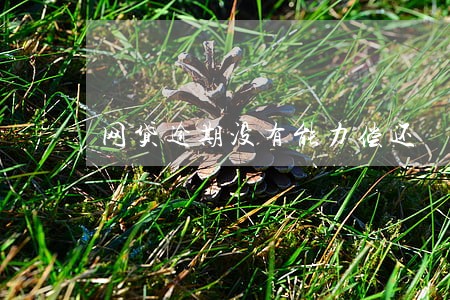 网贷逾期没有能力偿还