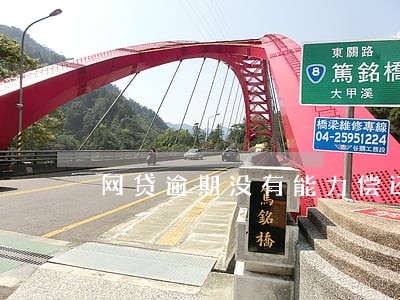 网贷逾期没有能力偿还可以报案嘛 网贷逾期没有能力偿还可以报案嘛