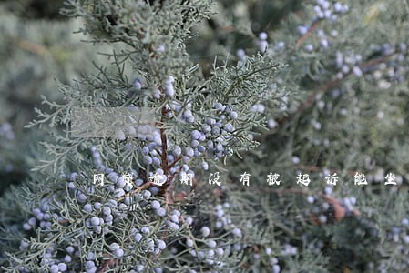 网贷逾期没有被起诉能坐高铁吗 网贷逾期没有被起诉能坐高铁吗