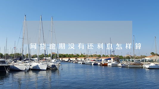 网贷逾期没有还利息怎样算 网贷逾期没有还利息怎样算