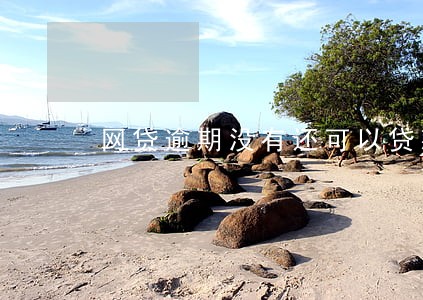 网贷逾期没有还可以贷款吗 网贷逾期没有还可以贷款吗