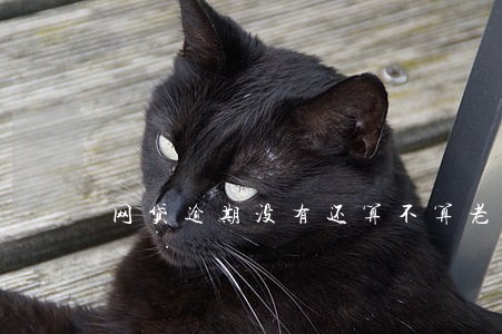 网贷逾期没有还算不算老赖 网贷逾期没有还算不算老赖