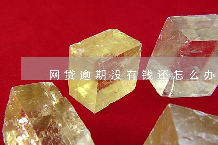 网贷逾期没有钱还怎么办视频 网贷逾期没有钱还怎么办视频