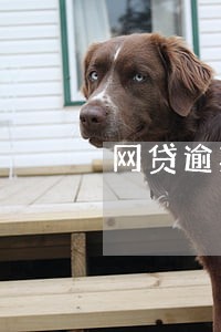 网贷逾期没有钱还还本今 网贷逾期没有钱还还本今