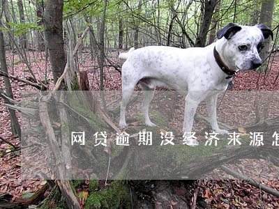 网贷逾期没经济来源怎么办 网贷逾期没经济来源怎么办
