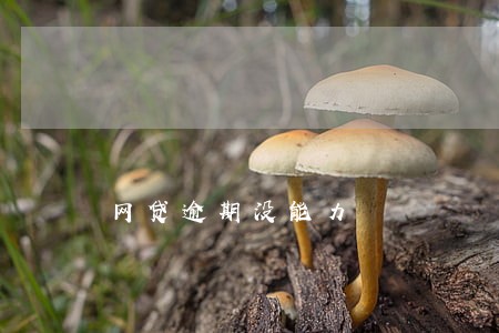 网贷逾期没能力 网贷逾期没能力