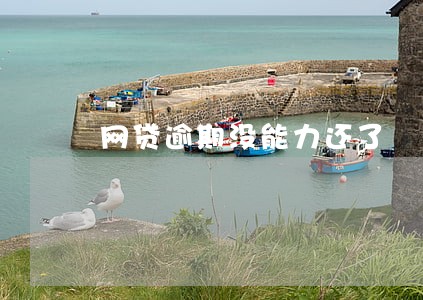 网贷逾期没能力还了 网贷逾期没能力还了