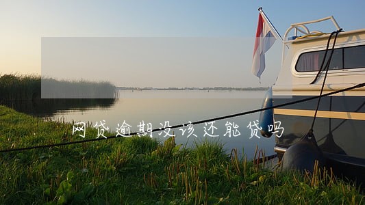 网贷逾期没该还能贷吗