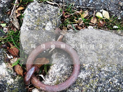 网贷逾期没超过30天 网贷逾期没超过30天