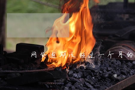 网贷逾期没超过一个月的 网贷逾期没超过一个月的