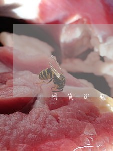 网贷逾期没还买车会怎么样 网贷逾期没还买车会怎么样