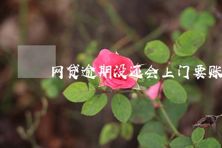 网贷逾期没还会上门要账吗 网贷逾期没还会上门要账吗
