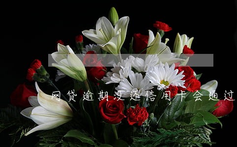 网贷逾期没还信用卡会通过吗 网贷逾期没还信用卡会通过吗