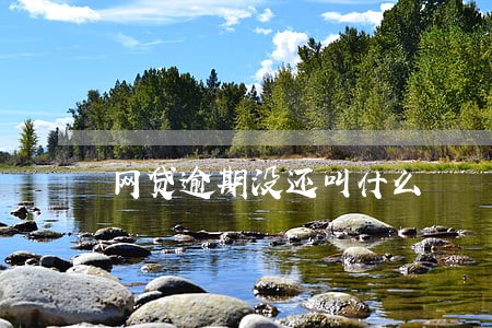 网贷逾期没还叫什么 网贷逾期没还叫什么