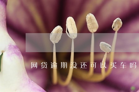 网贷逾期没还可以买车吗 网贷逾期没还可以买车吗