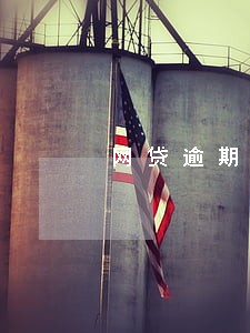 网贷逾期没还可以交社保么 网贷逾期没还可以交社保么