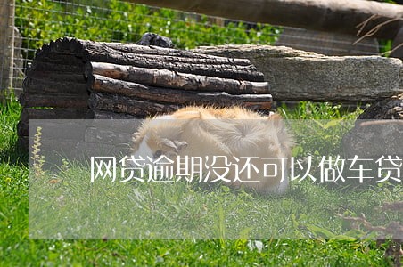 网贷逾期没还可以做车贷吗 网贷逾期没还可以做车贷吗