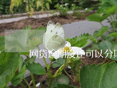 网贷逾期没还可以分期买房吗 网贷逾期没还可以分期买房吗