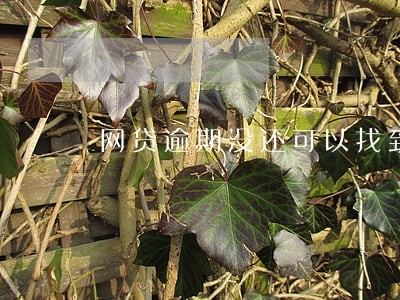 网贷逾期没还可以找到工作吗 网贷逾期没还可以找到工作吗