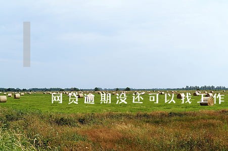 网贷逾期没还可以找工作吗 网贷逾期没还可以找工作吗