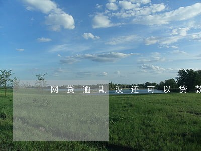 网贷逾期没还可以贷款买房吗