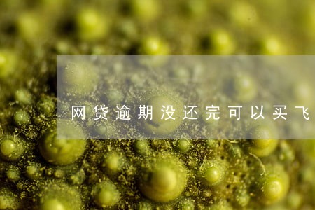 网贷逾期没还完可以买飞机票吗 网贷逾期没还完可以买飞机票吗