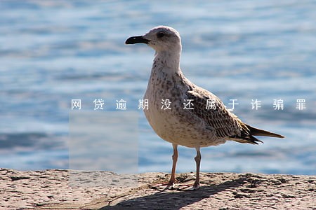 网贷逾期没还属于诈骗罪吗 网贷逾期没还属于诈骗罪吗