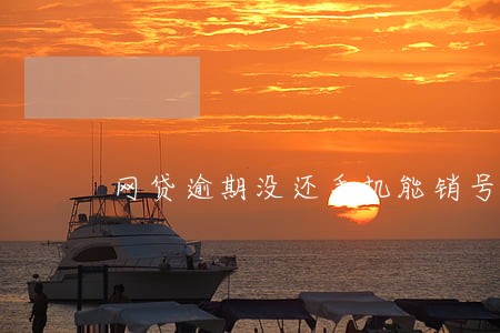 网贷逾期没还手机能销号吗 网贷逾期没还手机能销号吗
