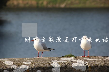 网贷逾期没还打母亲电话 网贷逾期没还打母亲电话